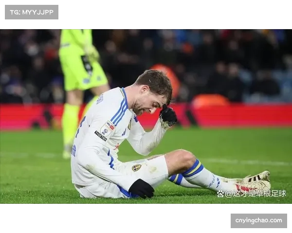 通讯：谢菲联提前四轮降级，回顾其重返英超一个赛季的艰难历程